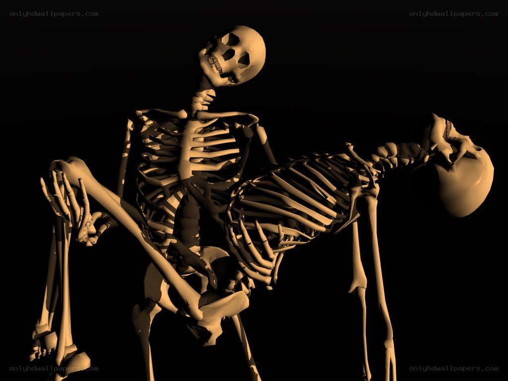 skeletons in intimate pose