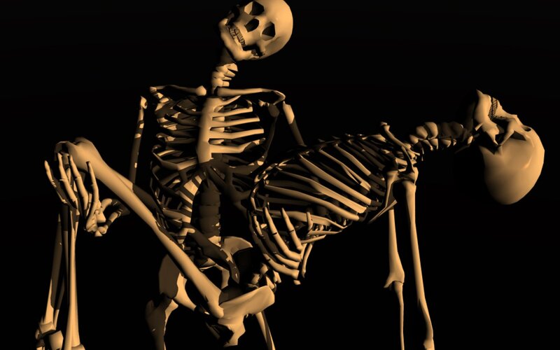 skeletons in intimate pose