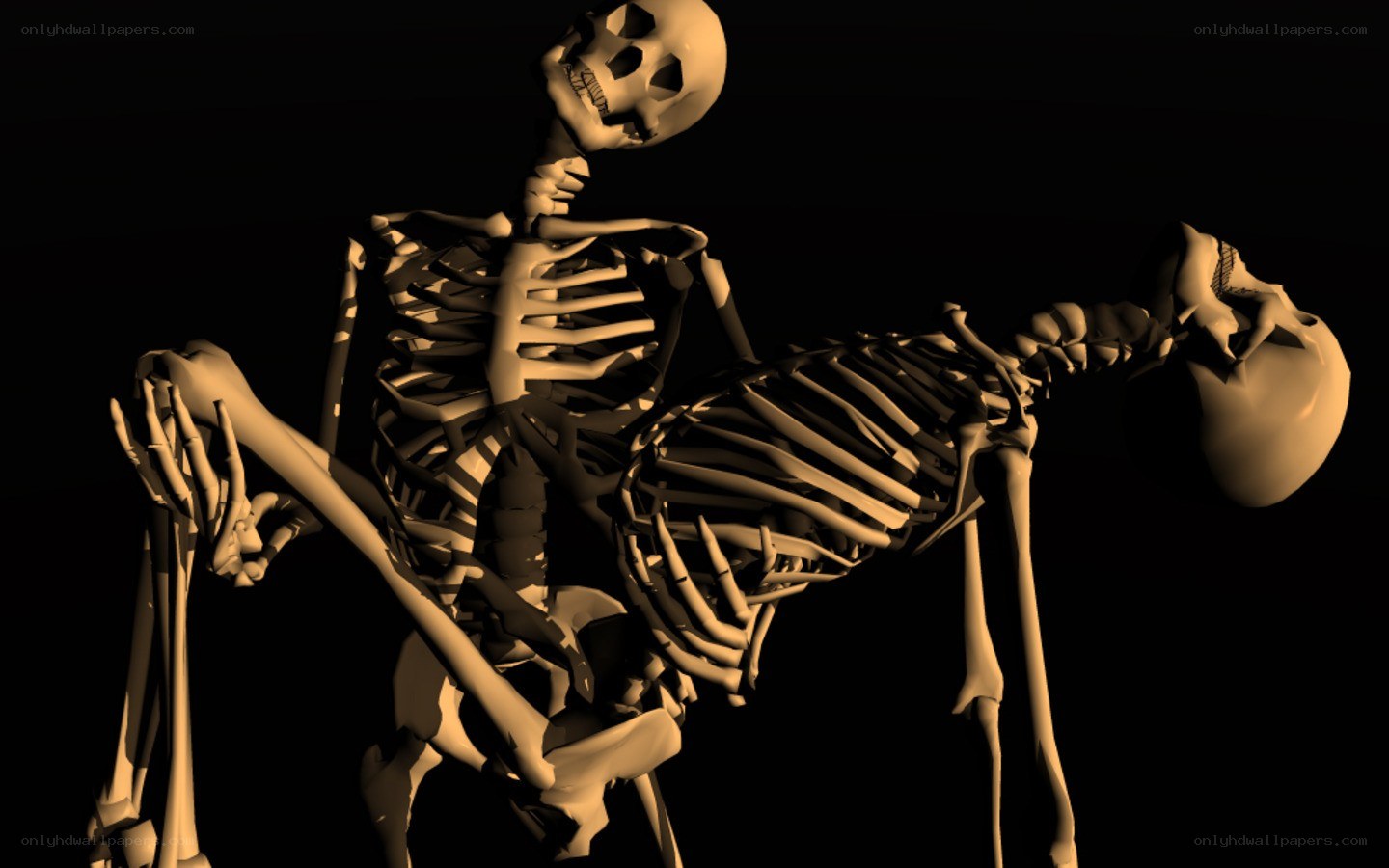 skeletons in intimate pose