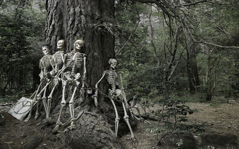 skeletons in the forest