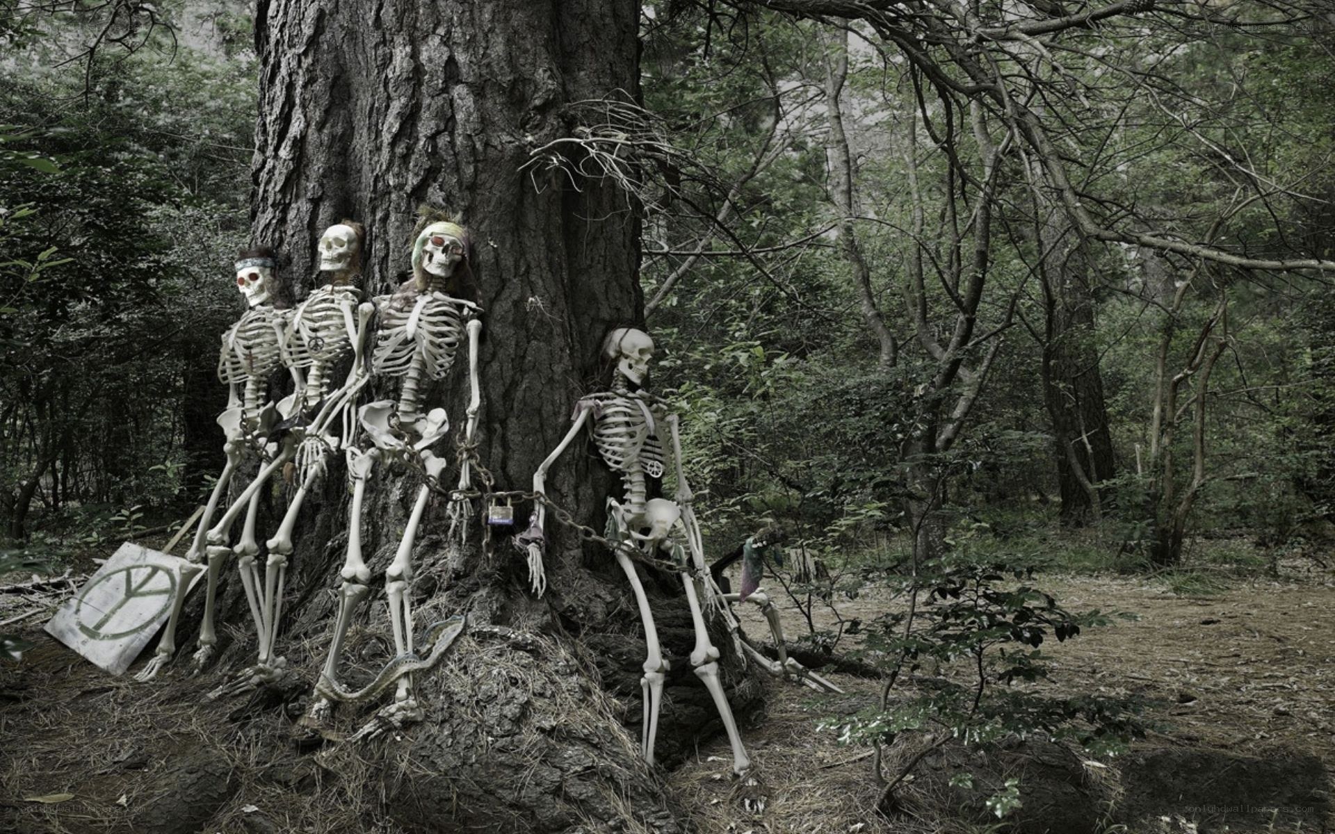 skeletons in the forest