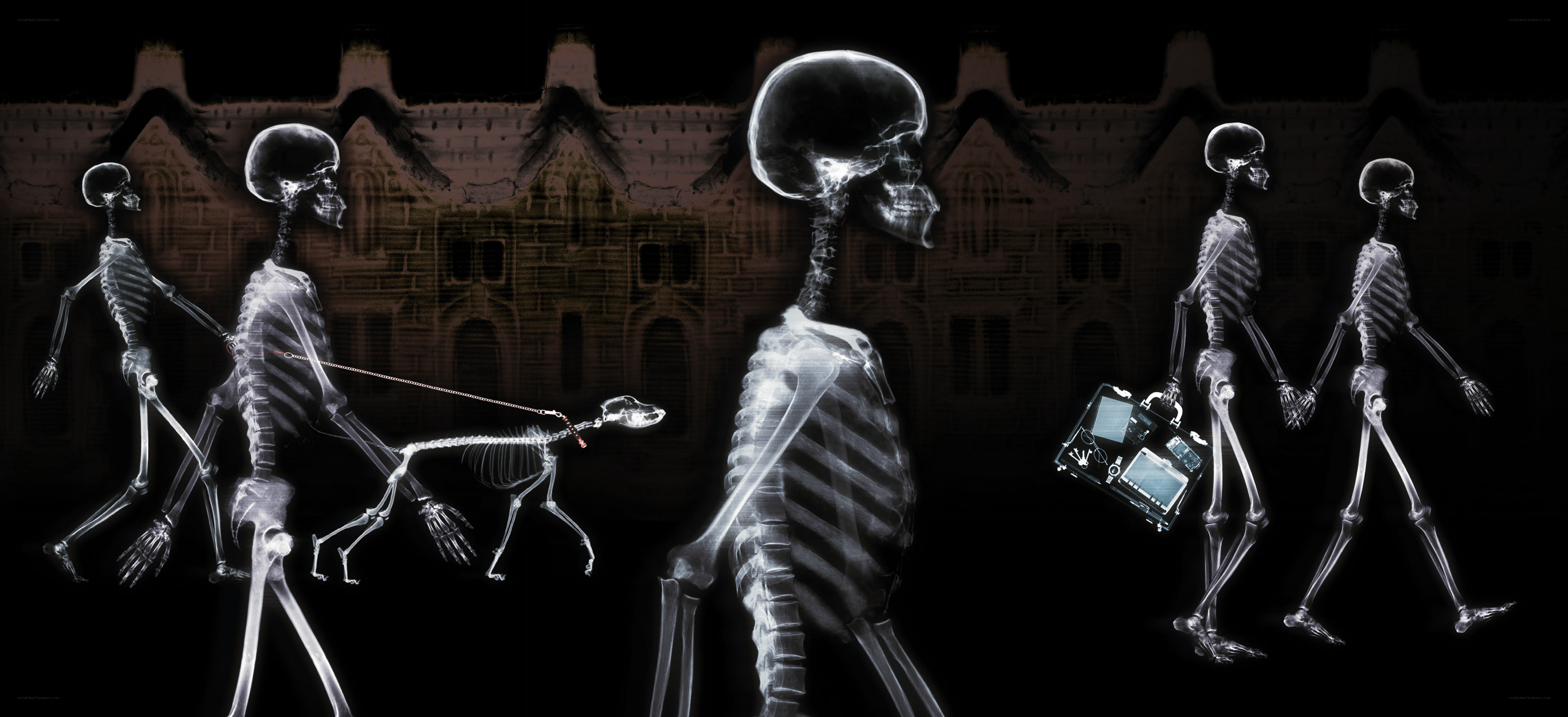 skeletons walking in x-ray style