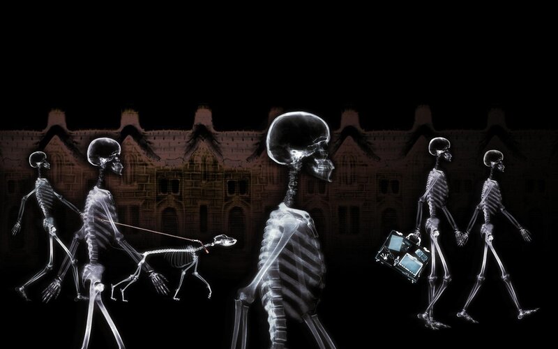 skeletons walking in x-ray style