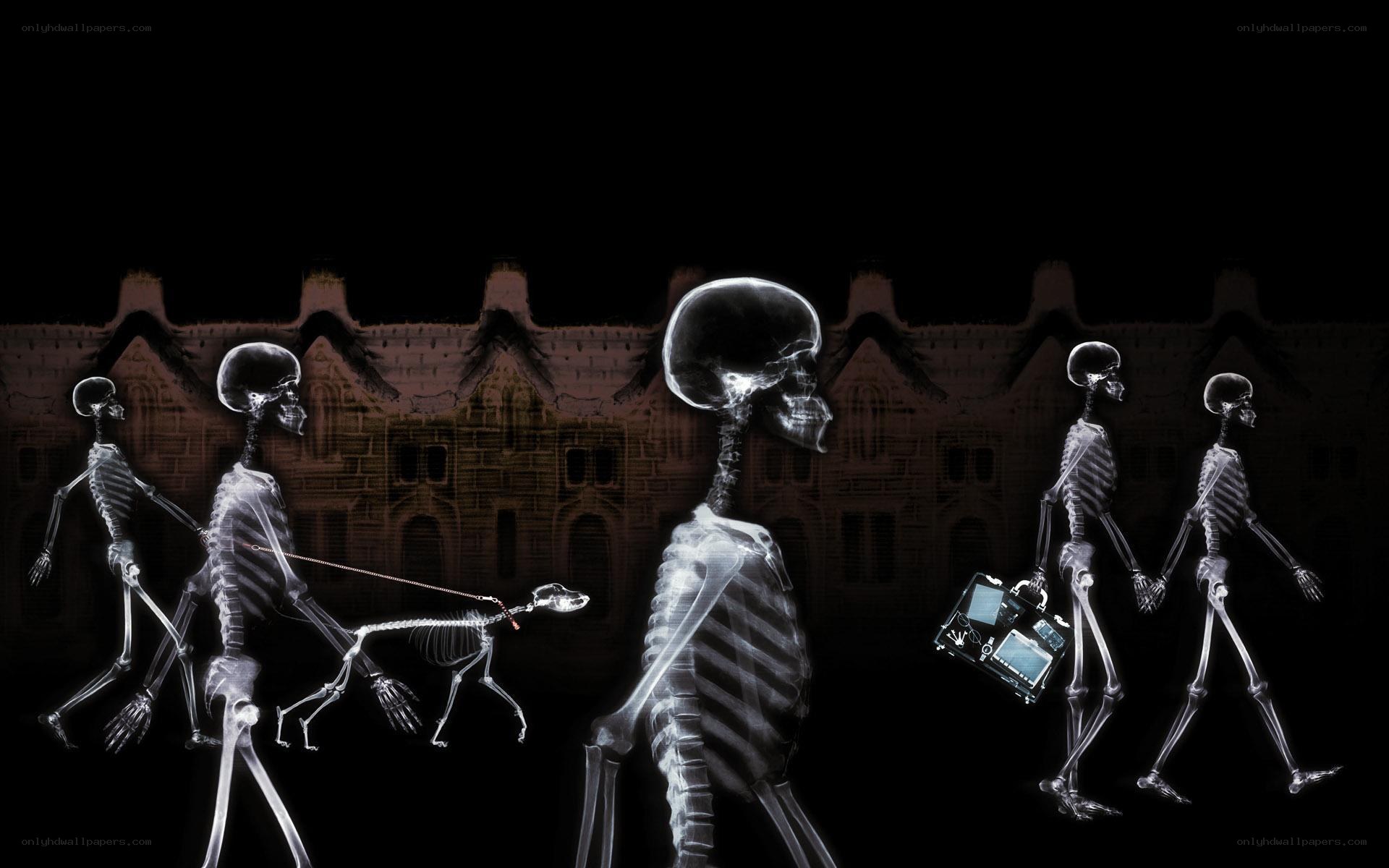 skeletons walking in x-ray style