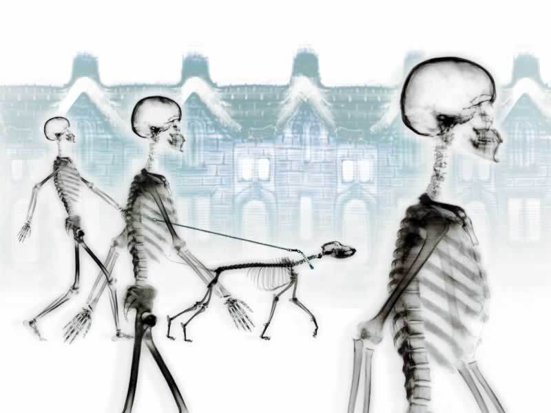 skeletons walking with a dog