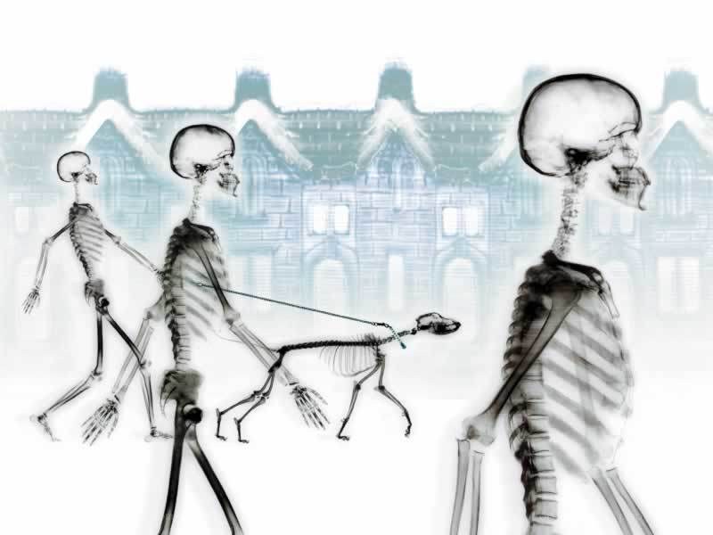 skeletons walking with a dog