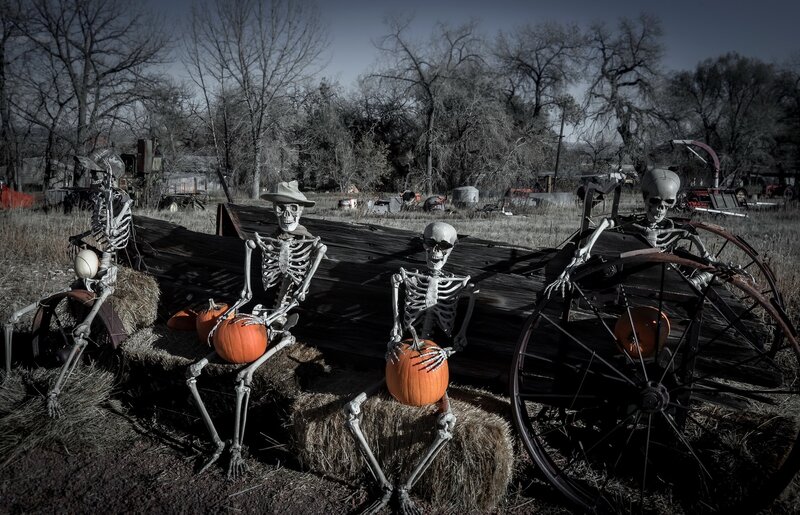 Skeletons with Pumpkins