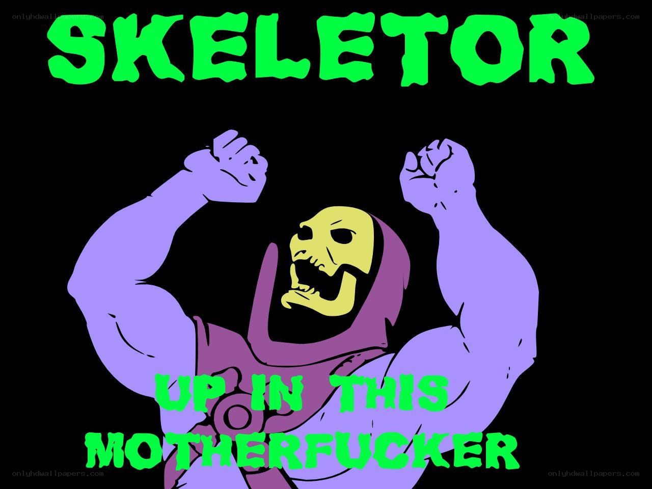 Skeletor in the house