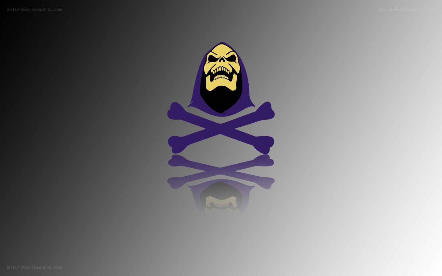 Skeletor pirate symbol