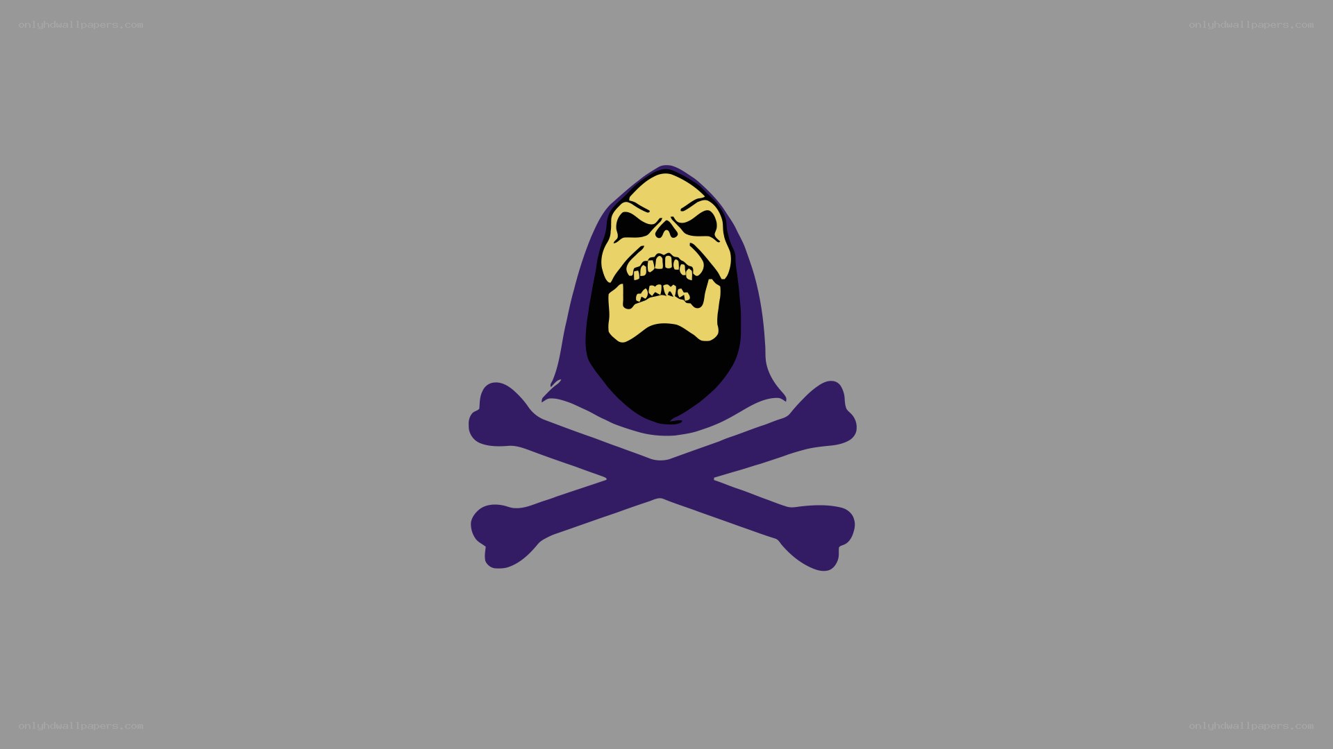 Skeletor pirate symbol