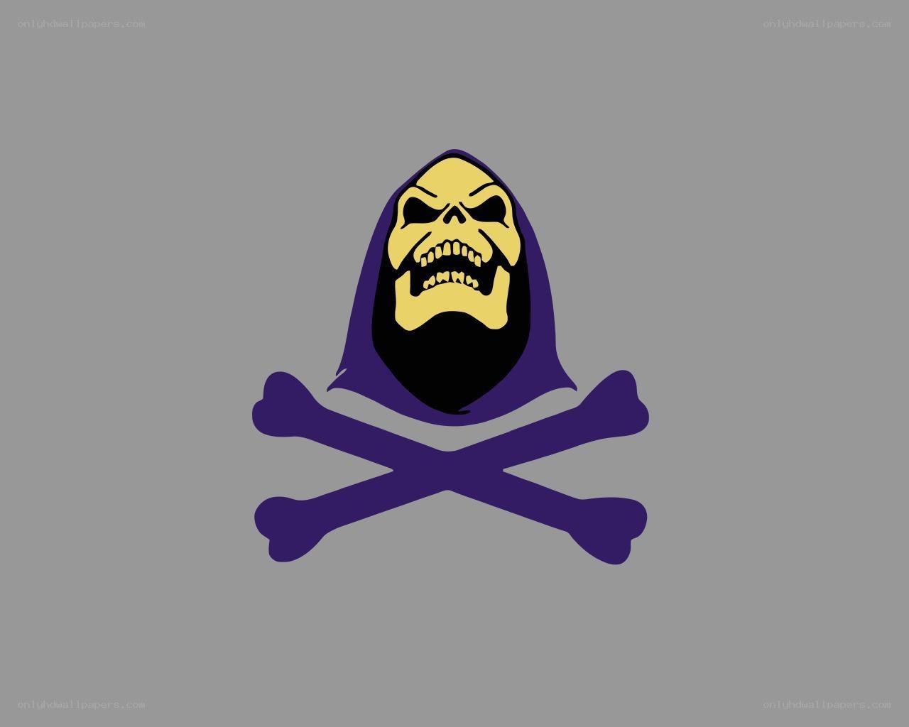 Skeletor skull and crossbones