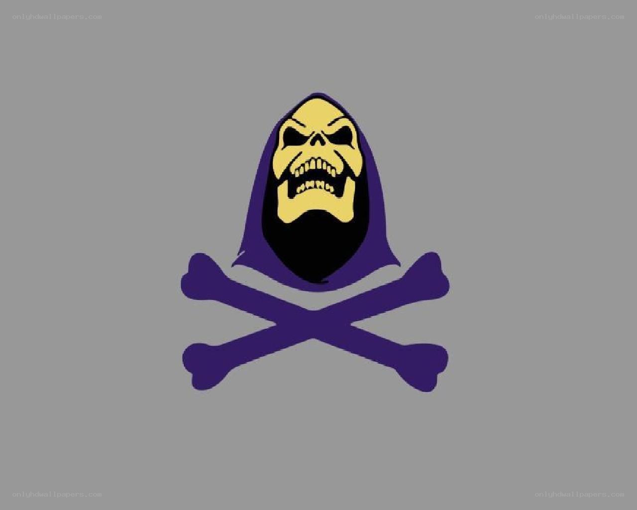 Skeletor skull and crossbones