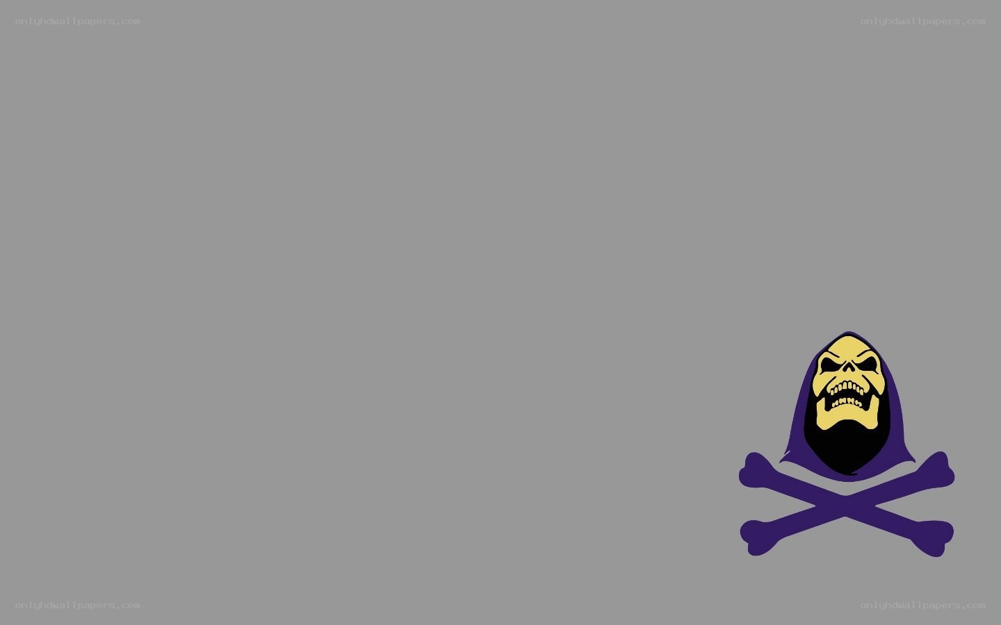 Skeletor skull and crossbones