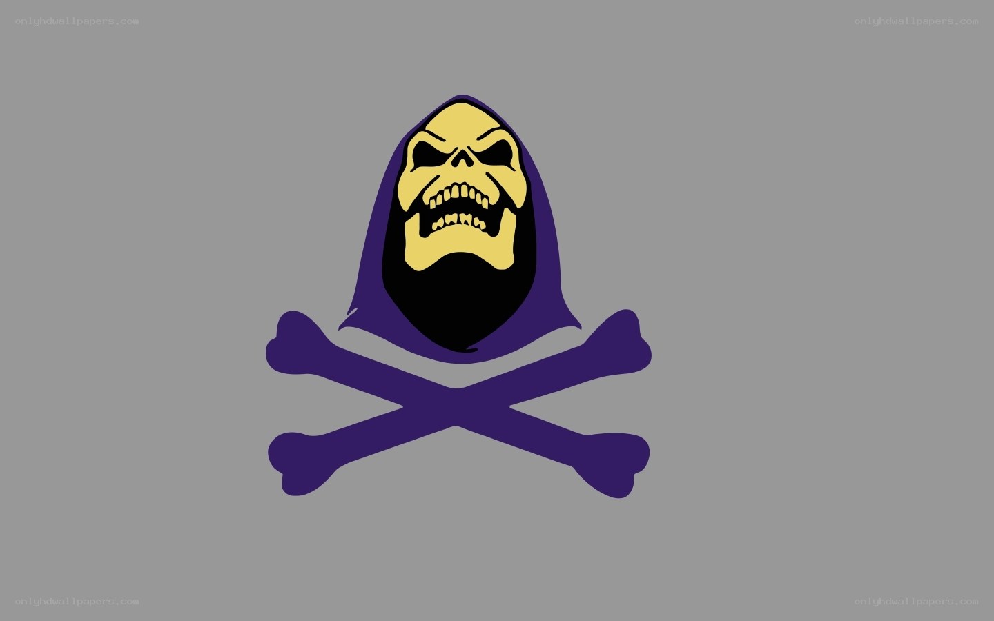 Skeletor skull and crossbones