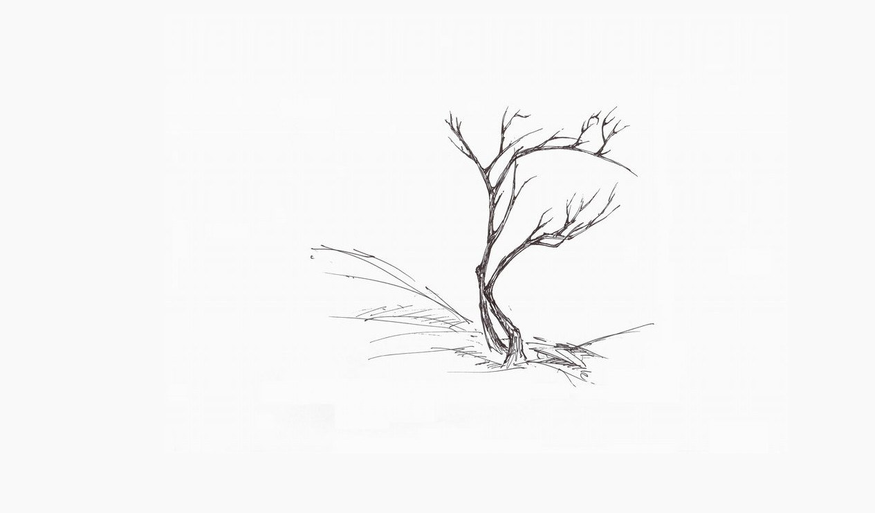 sketch of a bare tree