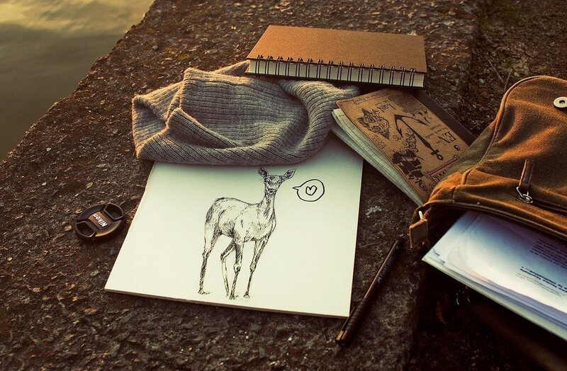 Sketch of a Deer