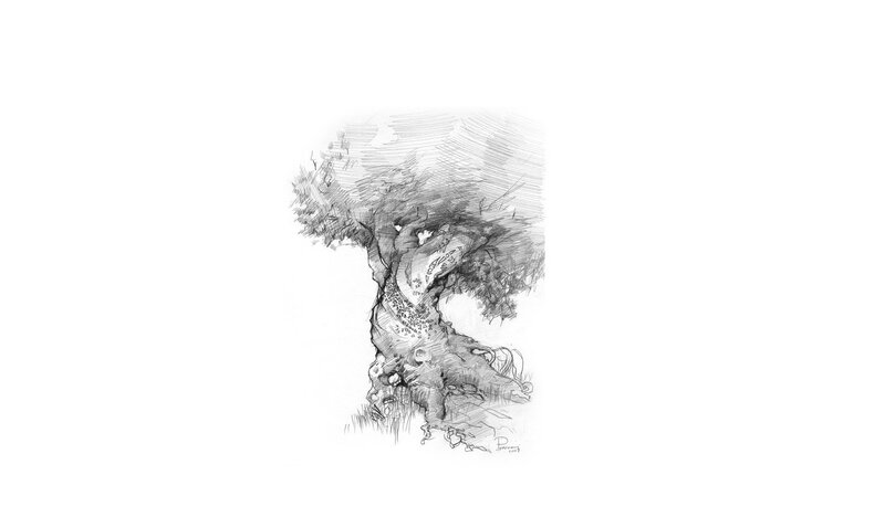 sketch of a gnarled tree