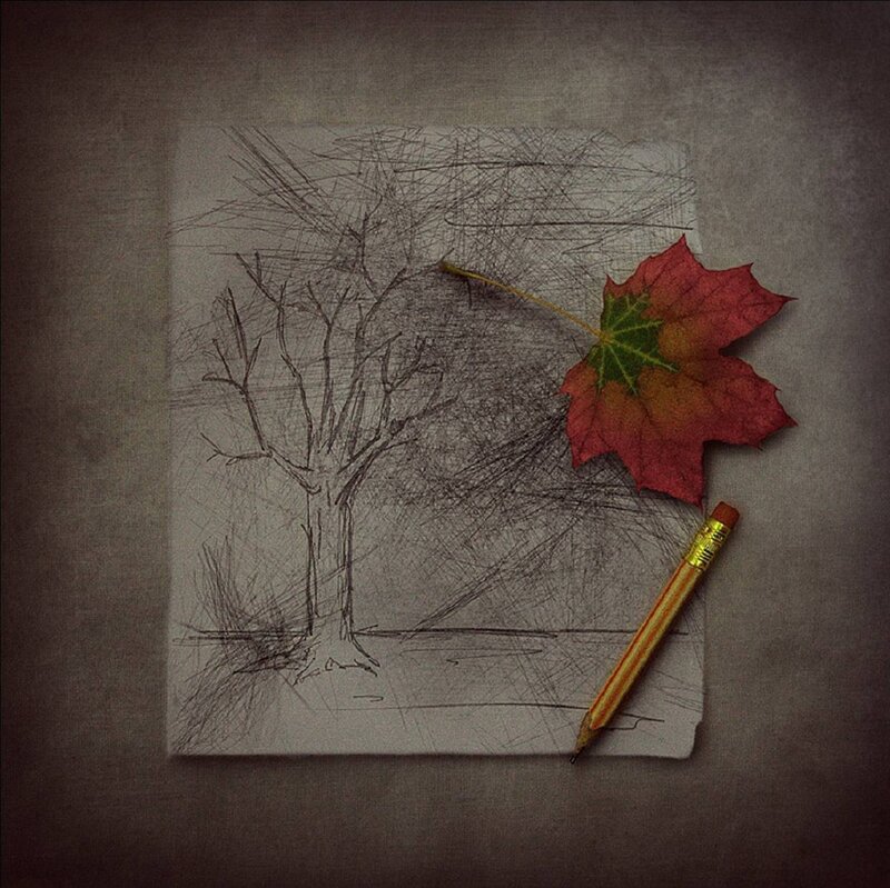 Sketch of Bare Tree