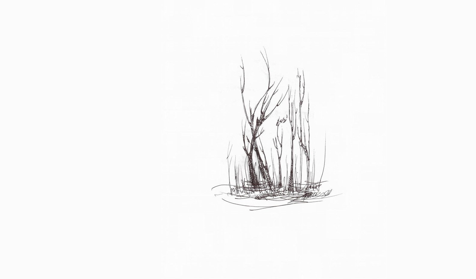 sketch of bare trees