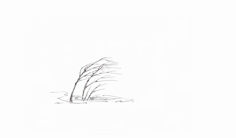 sketch of bent grass