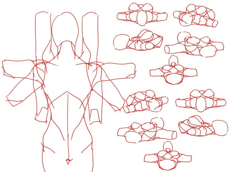 sketch of character anatomy