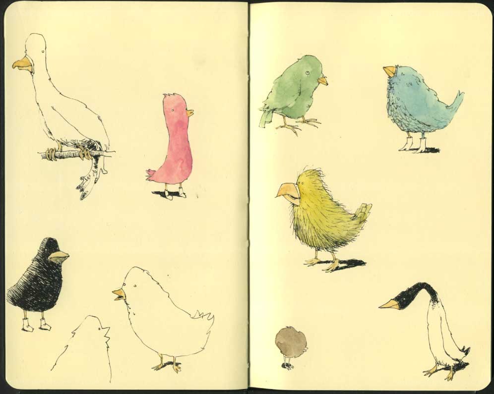 sketchbook bird drawings