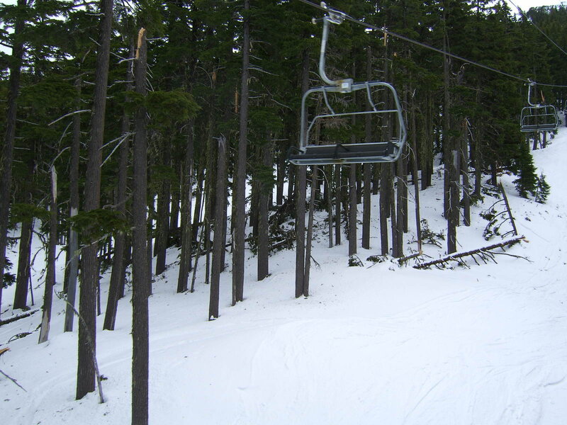 Ski lift in snowy forest