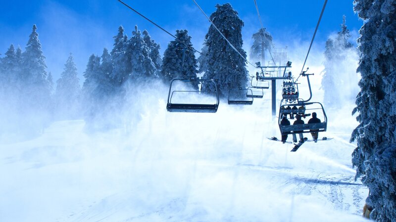 Ski lift in snowy forest