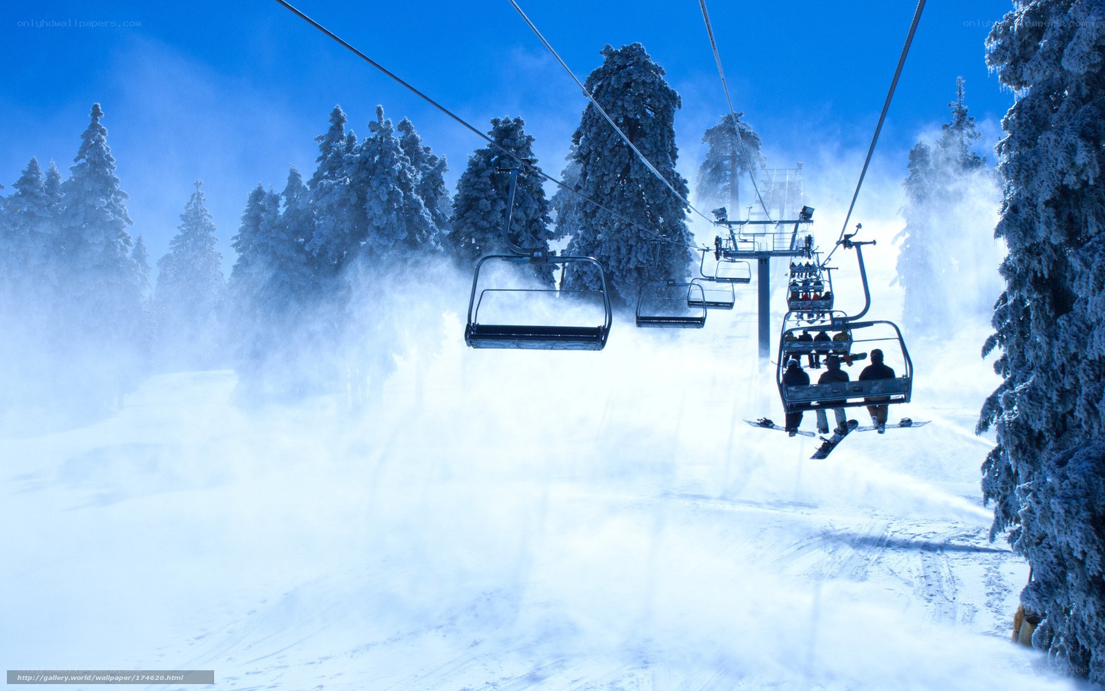 Ski lift in snowy forest