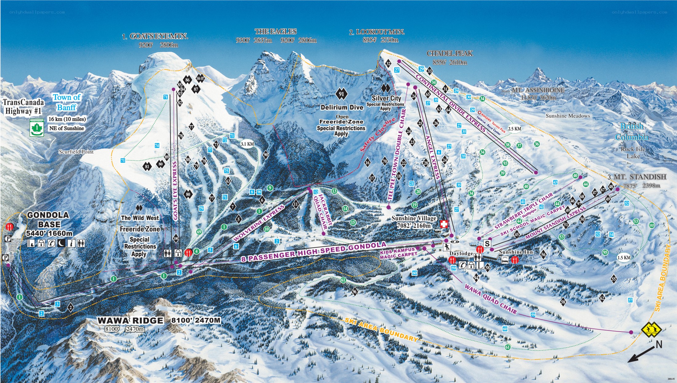 Ski resort trail map
