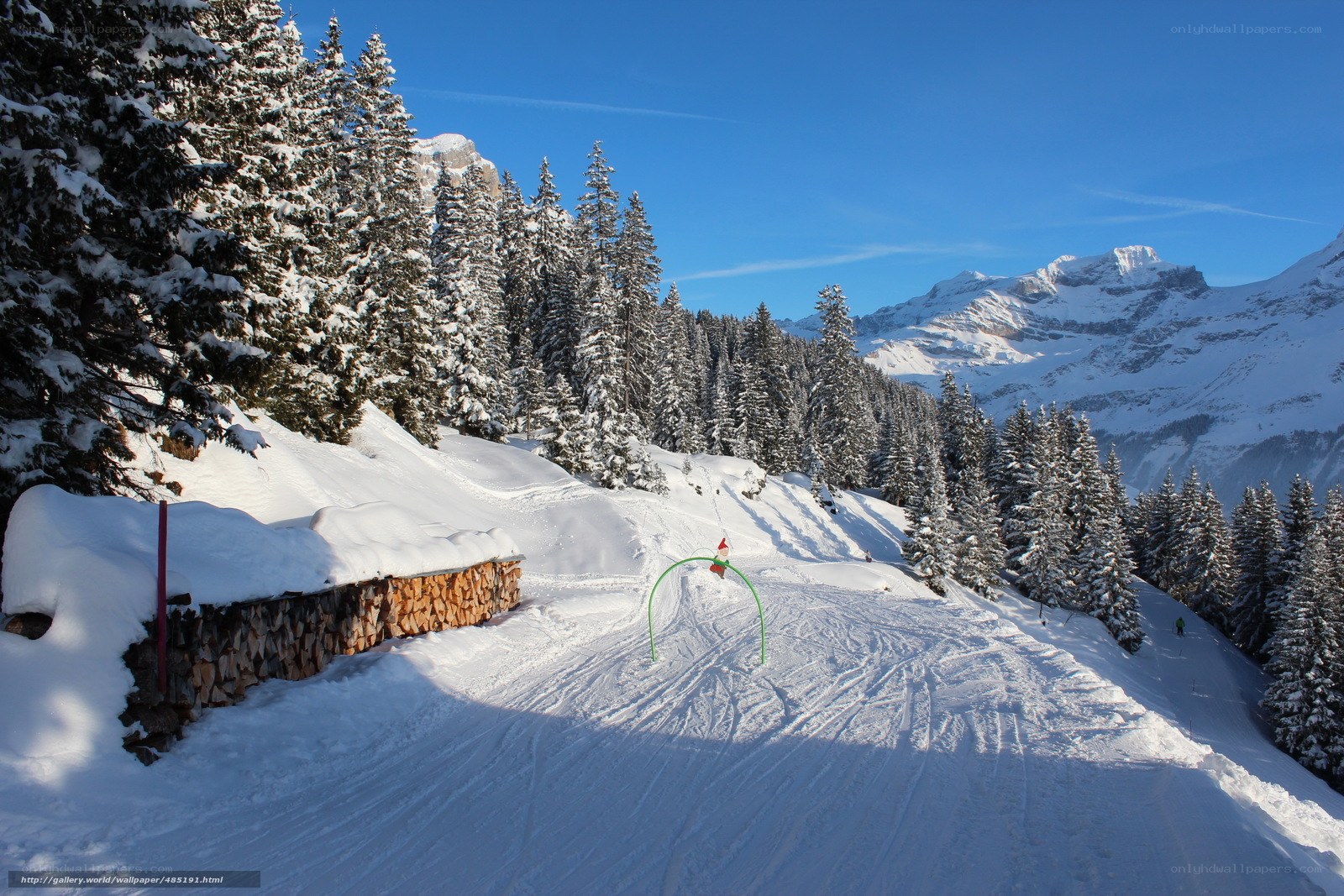 Ski slope with snow-covered trees