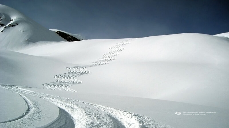 Ski Tracks in Snow