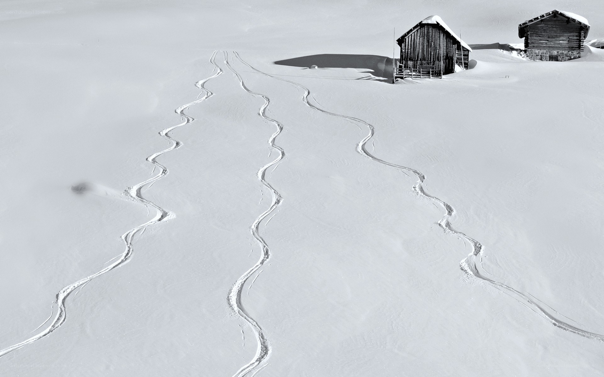 Ski tracks in snowy landscape