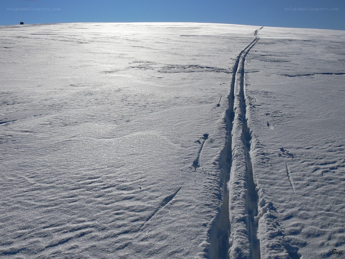 Ski tracks on a snowy slope