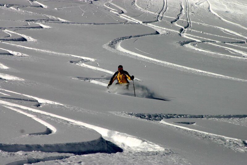 Skier carving down snowy slope