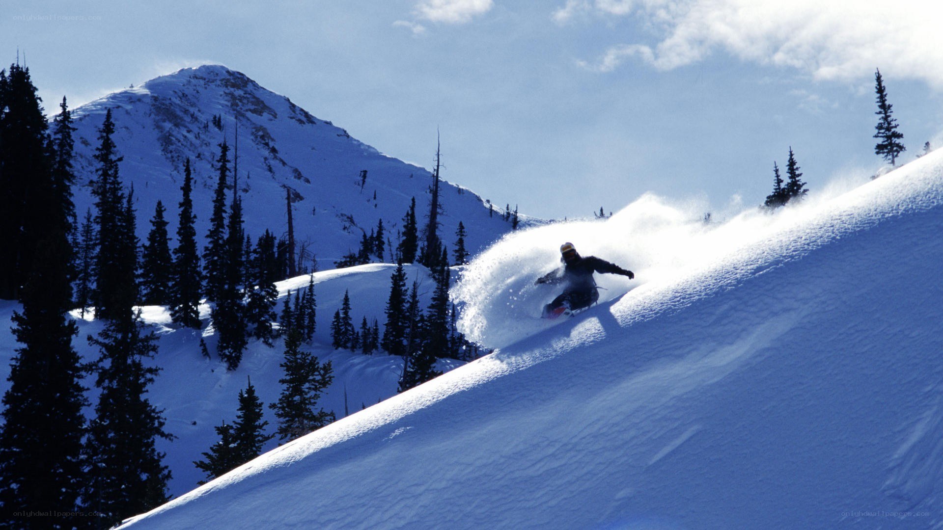 Skier carving down snowy slope