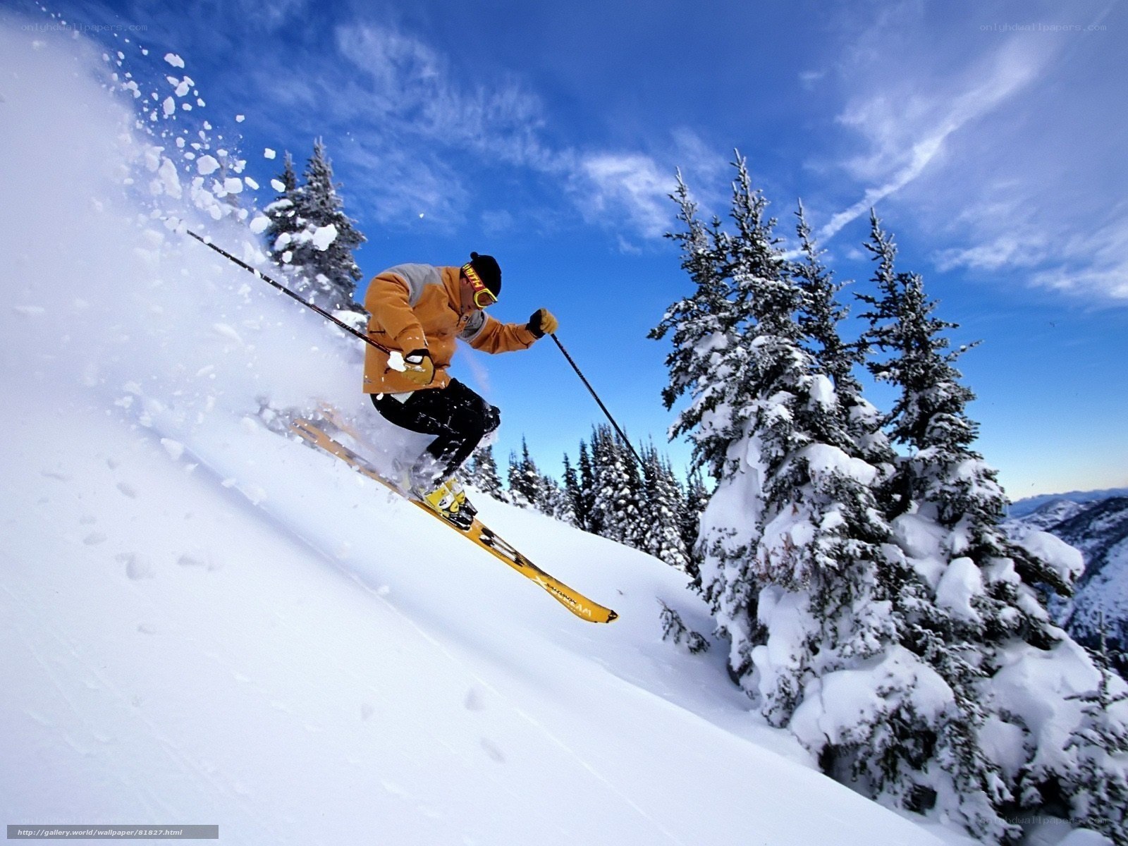 Skier carving down snowy slope