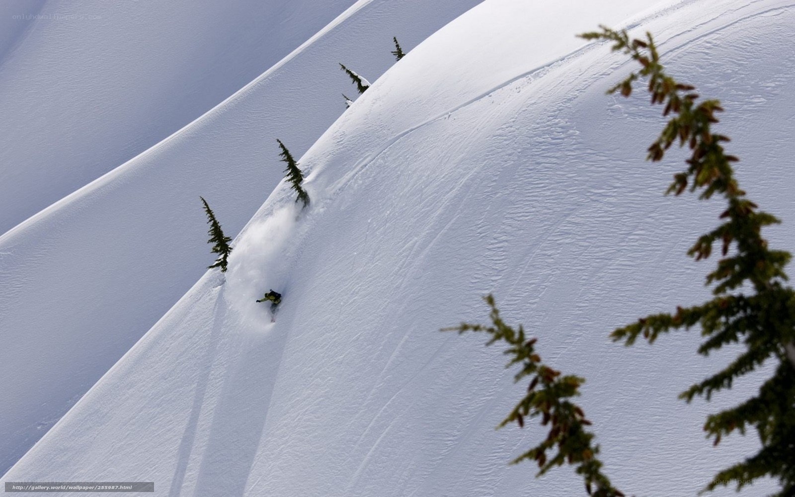 Skier descending snowy slope