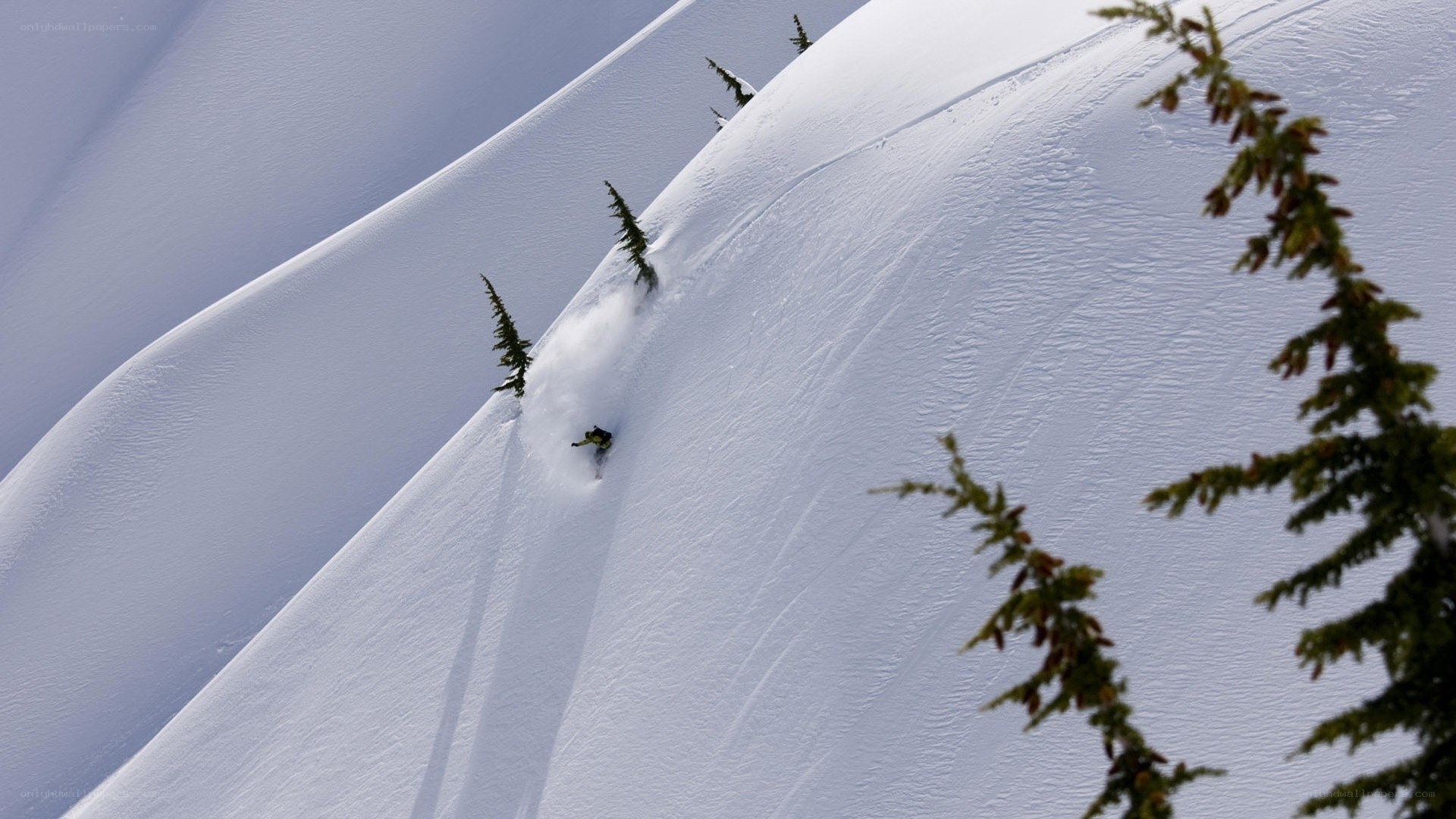Skier descending snowy slope