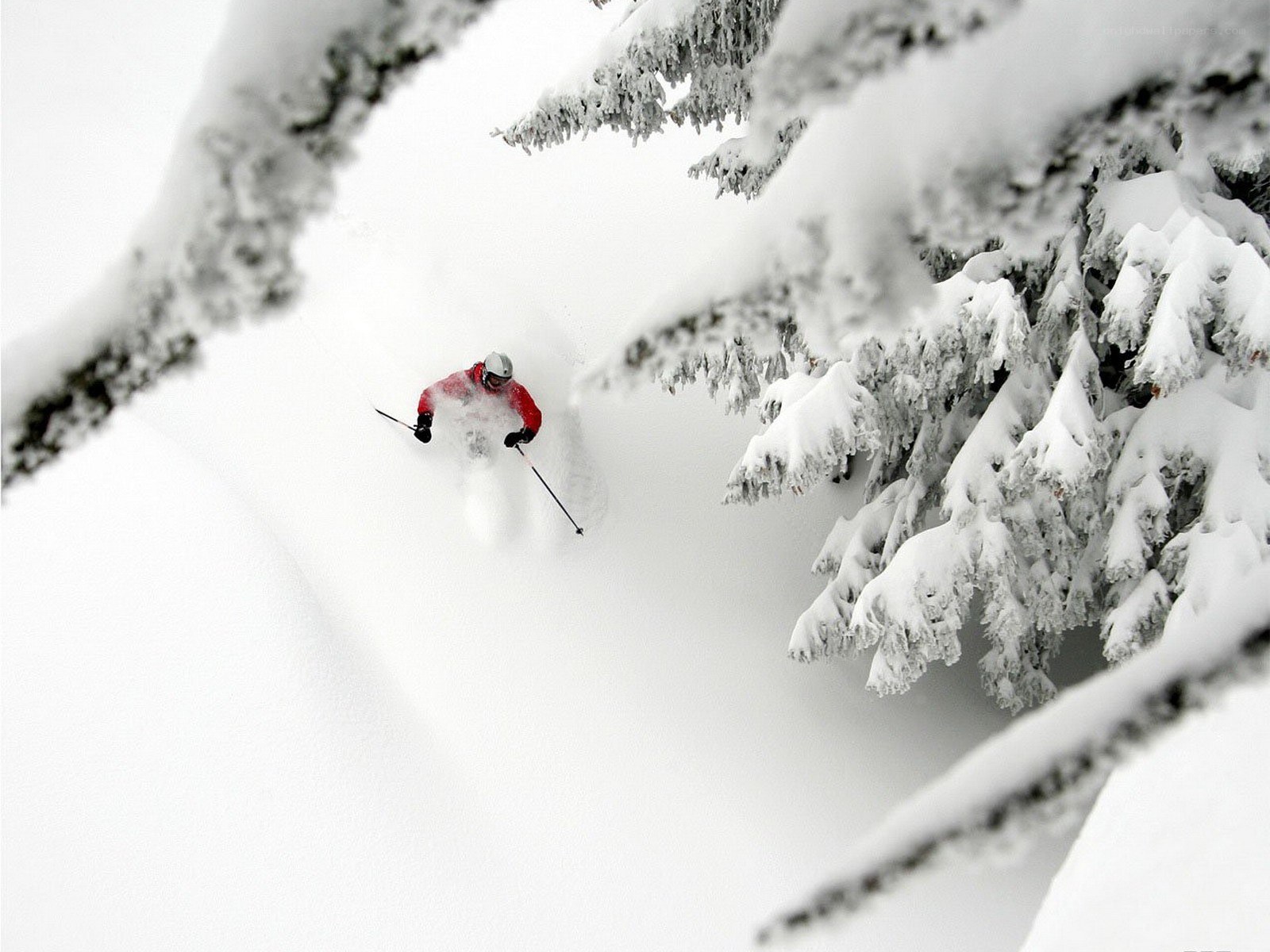 Skier in deep powder snow