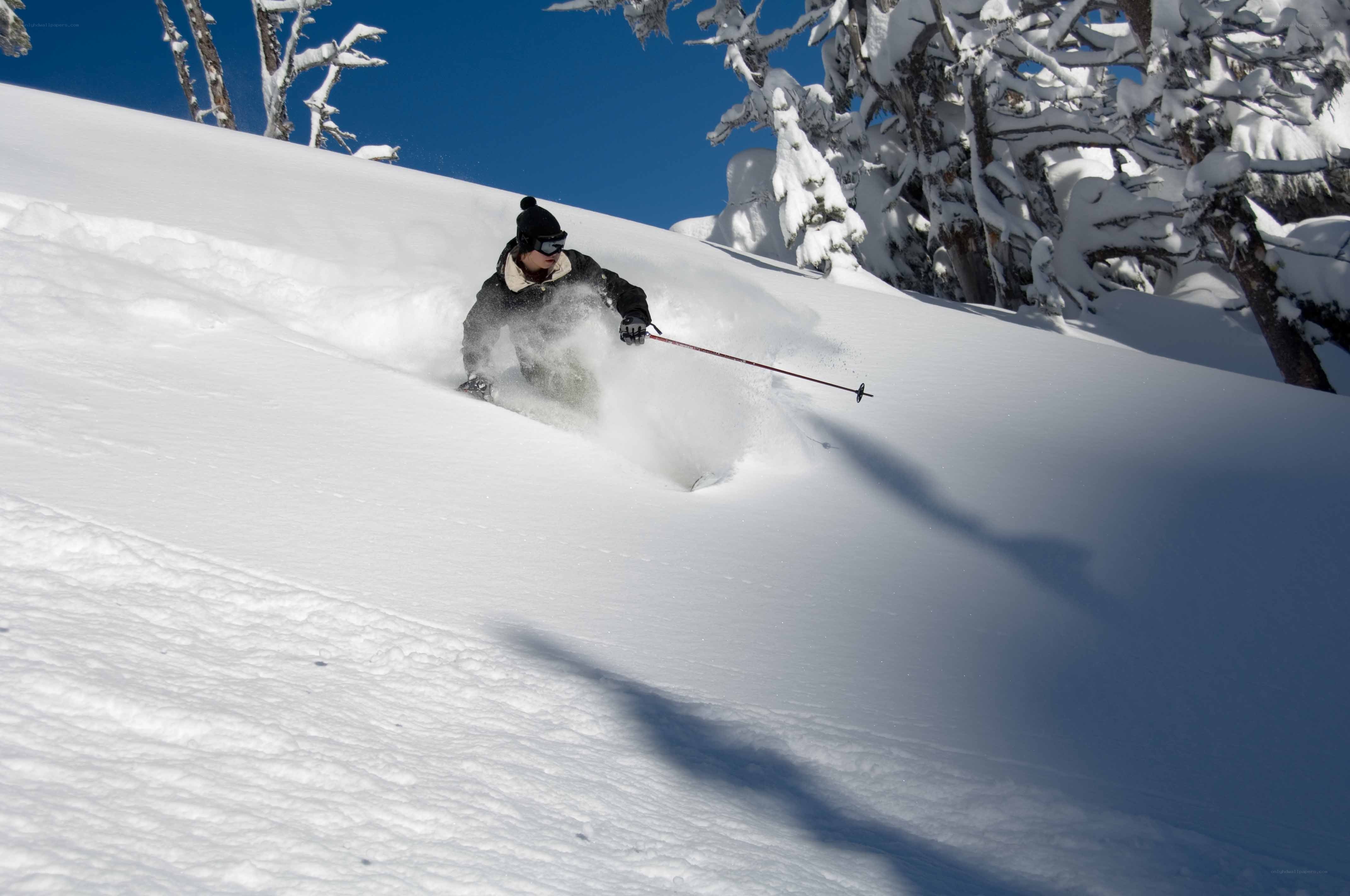 Skier in deep powder snow
