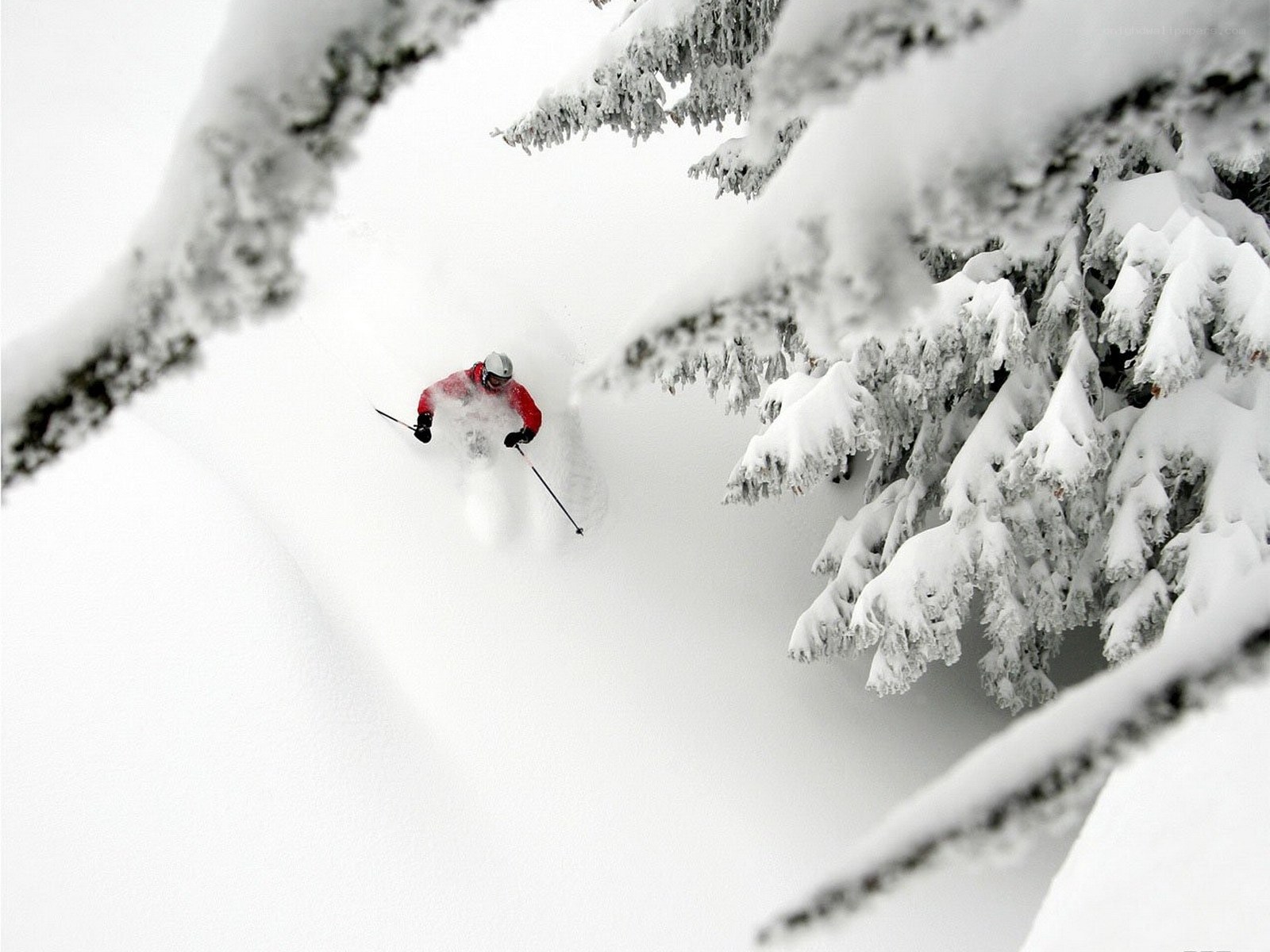 Skier in deep snow