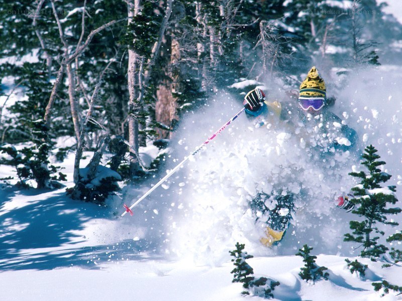 Skier in powder snow