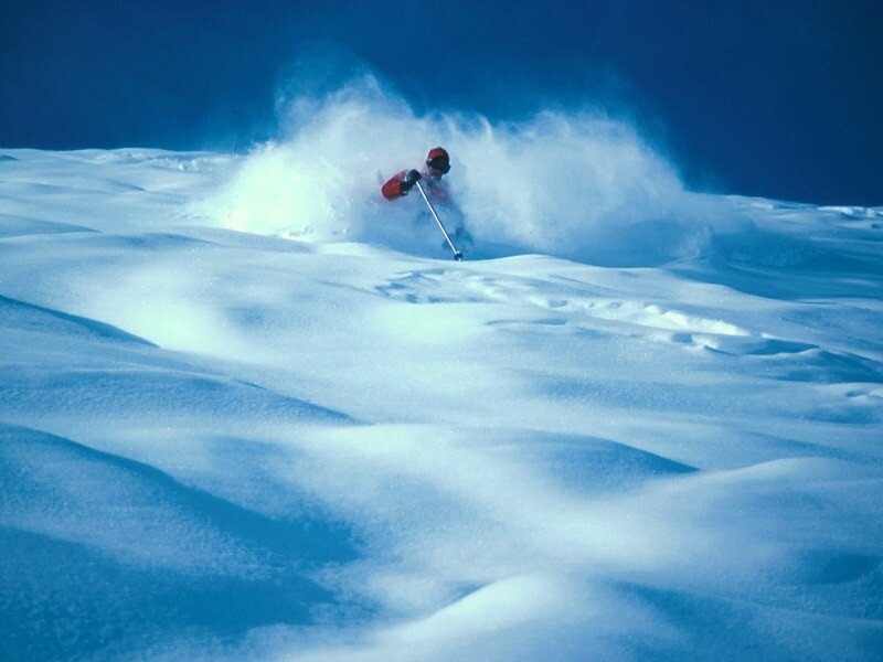 Skier in powder snow