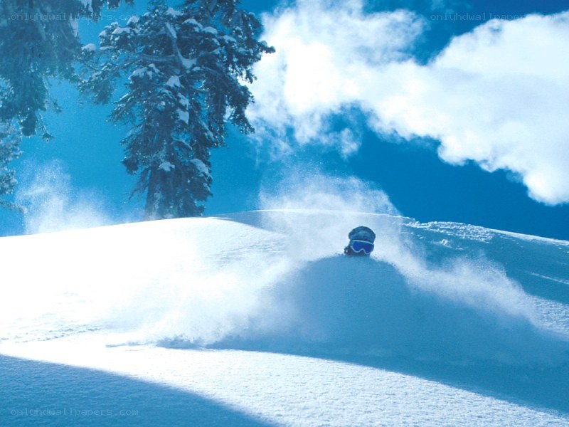 Skier in powder snow