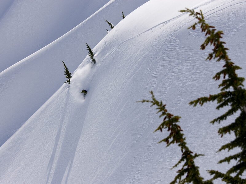 Skier in Powder Snow — White, Dramatic
