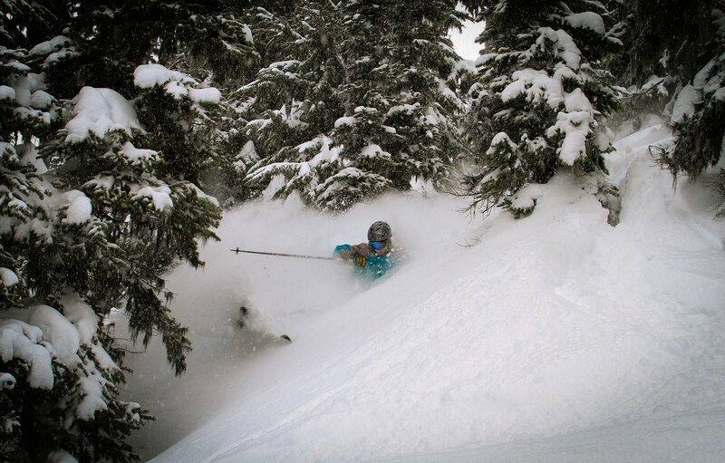 Skier in Powder Snow — White, Dynamic, Winter, Photograph, Trees, Ski Poles
