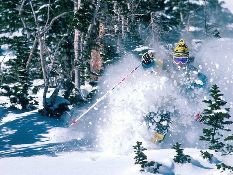 Skier in Powder Snow — White