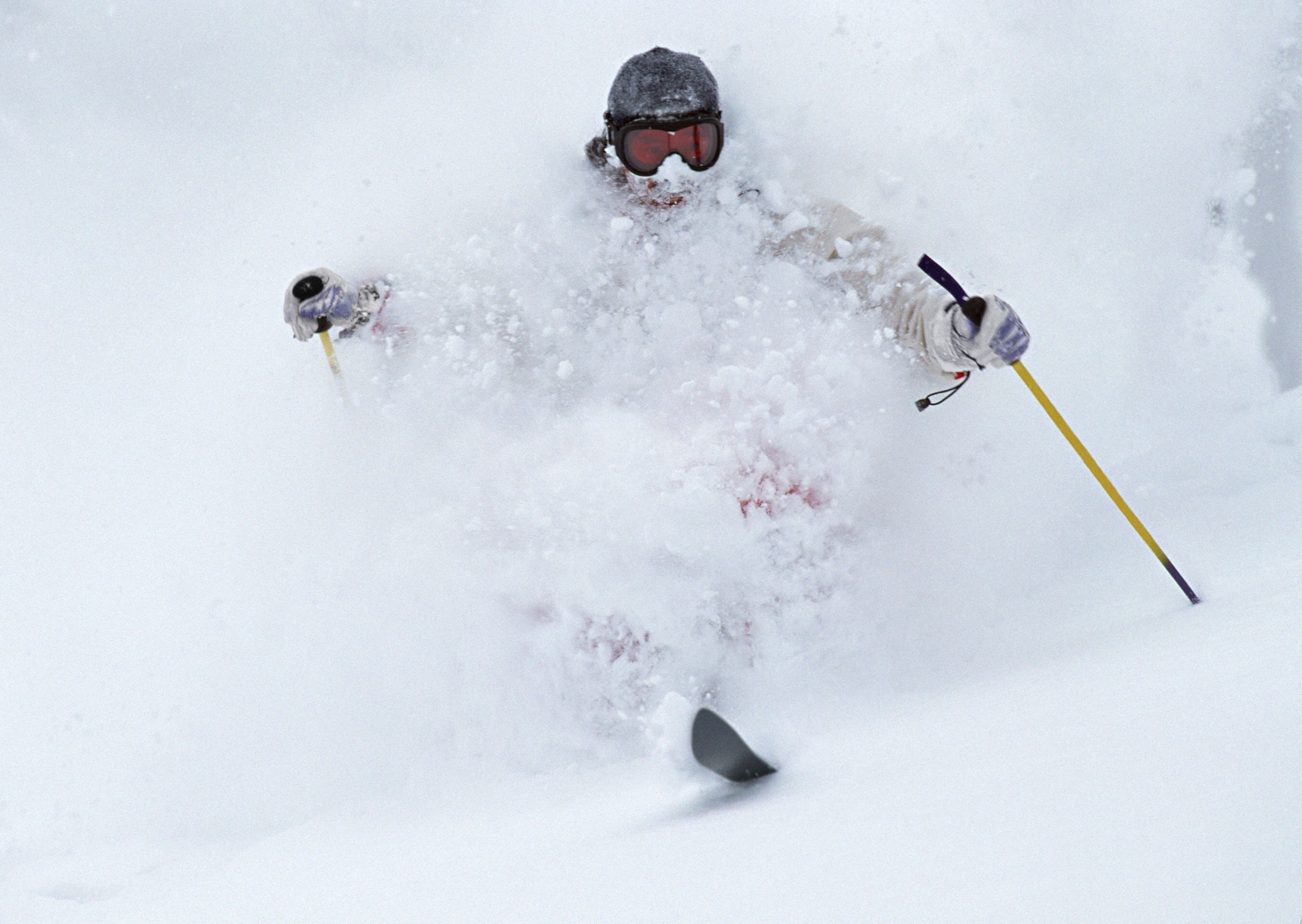 Skier in powder snow