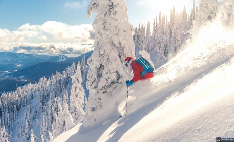 Skier in Red Jacket — White, Dynamic